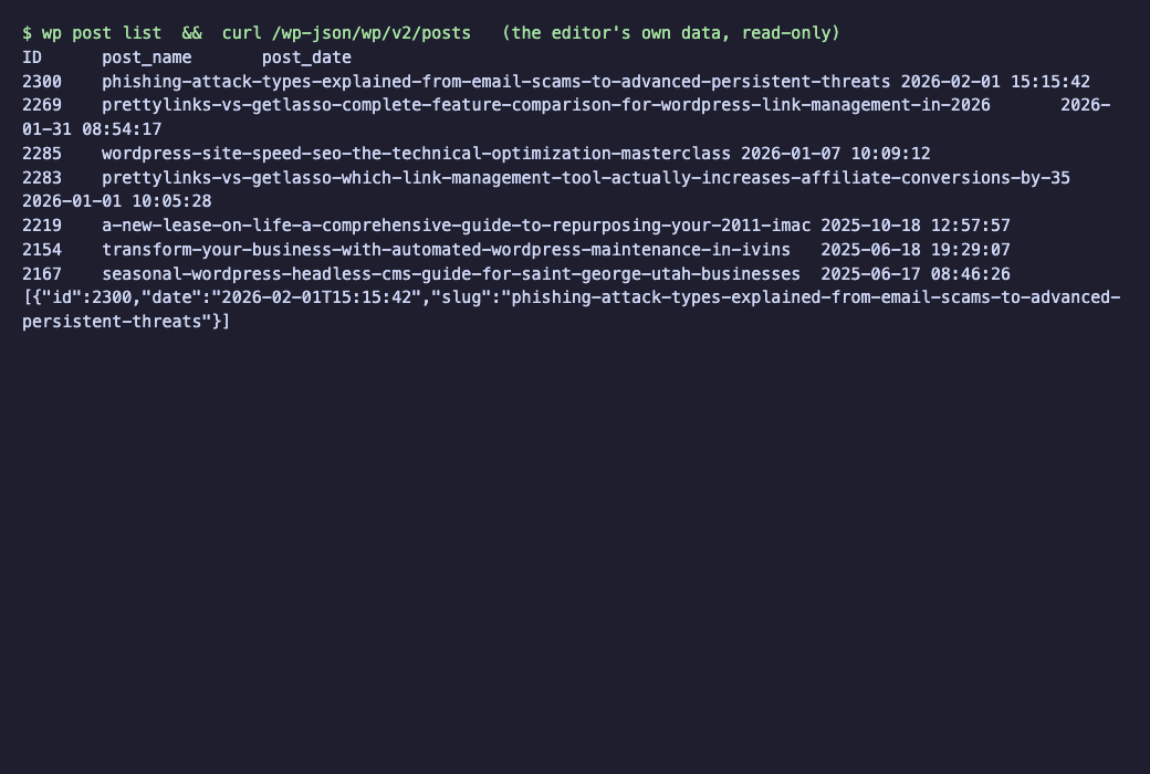 Terminal listing posts from WordPress and the same data from its public data address
